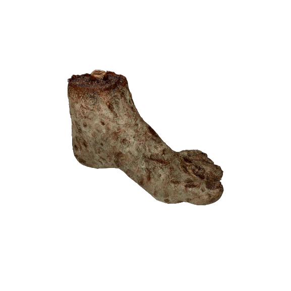 Thumb 2